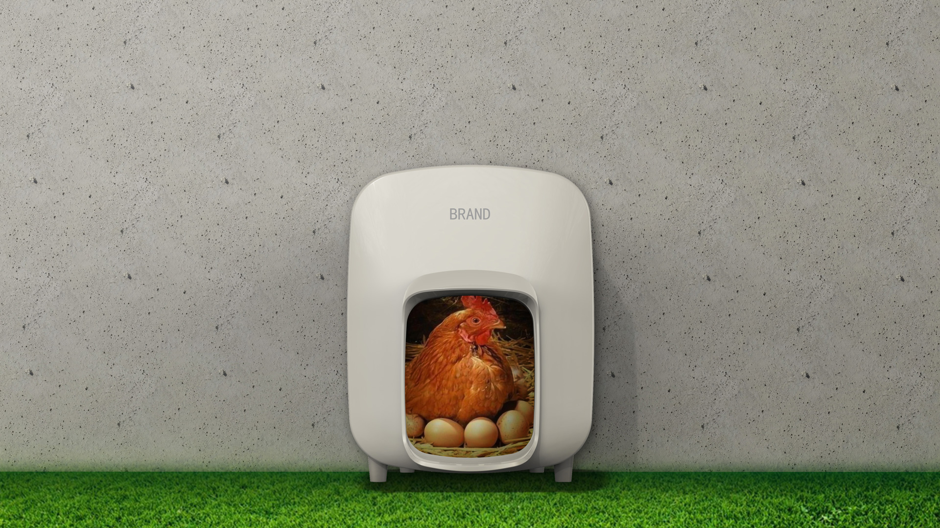 Chicken cage