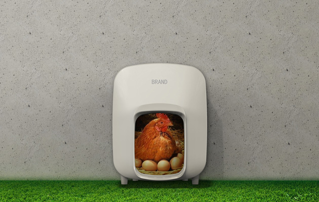 Chicken cage