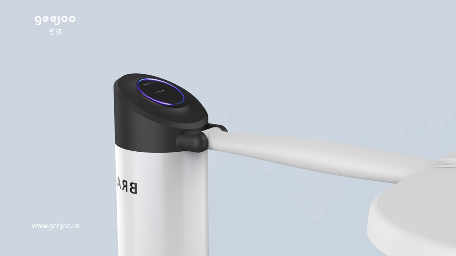 Negative ion therapy device